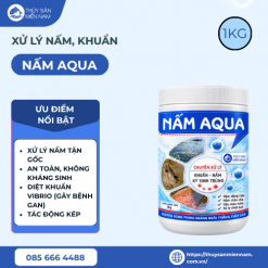 NẤM AQUA - Chuyên Xử Lý Nấm, Khuẩn, Ký Sinh Trùng